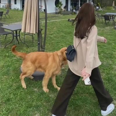 姊妹心粤语